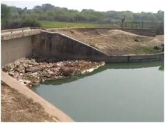 Morena: चंबल नहर के पुल में दर्जनों मवेशियों के शव आकर फंसे, दूषित होते पानी की वजह से संक्रमण फैलने का खतरा