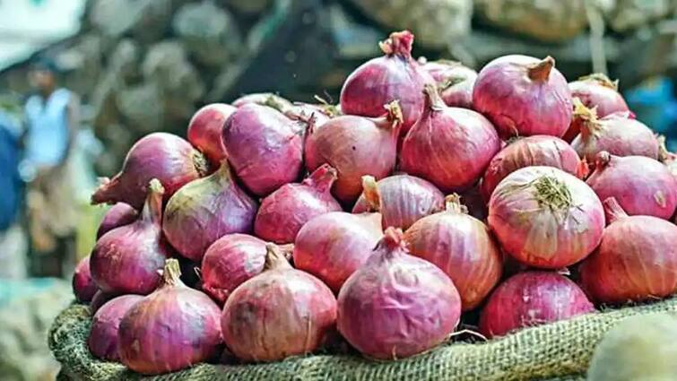 Onion Price: Farmers upset due to continuous fall in onion prices, farmer forced to sell up to Re 1 kg Onion Price: ડુંગળીના ભાવમાં સતત ઘટાડાએ ખેડૂતોને રોવડાવ્યા, 1 રૂપિયે કિલો વેચવાની ફરજ પડી