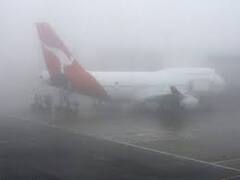 Airport Fog: কুয়াশার কারণে বন্ধ বিমান পরিষেবা, কলকাতা বিমানবন্দরে দুর্যোগের মুখে যাত্রীরা। Bangla News