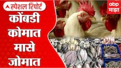 Palghar Bird Flu : कोंबड्यांना आजार; माशांचा वधारला बाजार; बर्ड फ्लूमुळे चिकनच्या मागणीत घट