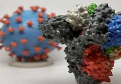 Omicron BA.2 Virus: Omicron ના સબ વેરિઅન્ટ BA.2 ને લઈ કોવિડ ટાસ્ક ફોર્સના કો ચેરમેને શું કર્યો મોટો દાવો ? જાણો વિગત