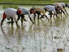 शेतकऱ्यांसाठी खुशखबर, यंदा देशात सामान्य मान्सूनचा स्कायमेटचा अंदाज