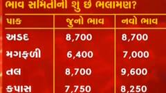 કૃષિ મંત્રી રાઘવજી પટેલની અધ્યક્ષતામાં ભાવ સમિતિની મળી બેઠક, જુઓ ગુજરાતી ન્યુઝ