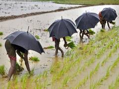 दिलासादायक! शेतकऱ्यांसाठी खुशखबर; यंदा देशात सामान्य मान्सून राहणार, स्कायमेटचा अंदाज