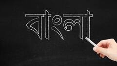 International Mother Language Day: বিলুপ্তির পথে ২ হাজার ৫০০ ভাষা, অমর একুশে মাতৃভাষার ইতিবৃত্ত