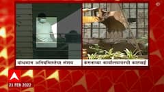 Narayan Rane : कंगना रनौतप्रमाणे नारायण राणे यांच्या बंगल्यावर सुध्दा होणार का कारवाई? ABP Majha