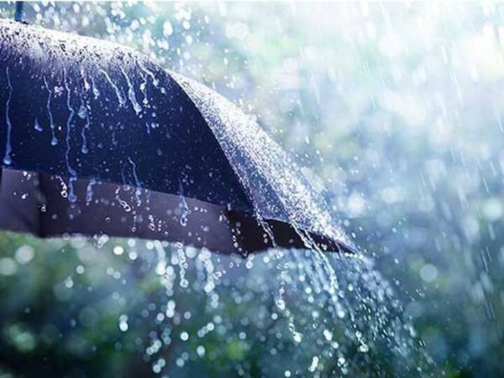 शेतकऱ्यांसाठी यंदा राहणार आशादायी स्थिती