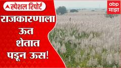 Osmanabad : राजकारणाला ऊत; शेतात पडून ऊस, राज्यातील ऊस उत्पादक शेतकरी चिंतेत ABP Majha