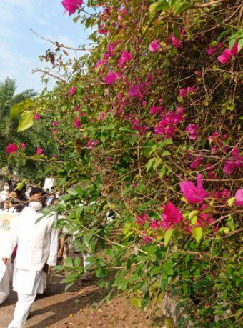 খাদ্য, বস্ত্র বাসস্থান নয়, মাতৃভাষার অধিকার ছিনিয়ে আনতে প্রাণ দিয়েছিলেন ভাইয়েরা। সেই আবেগ এবং ঐতিহ্যের একুশ পা রাখল সত্তরে।