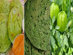 Balloon Vine: முடக்கத்தான் கீரையால் இத்தனை பயன்களா? தோசை, துவையல்னு இதை முழுமையா யூஸ் பண்ணுங்க