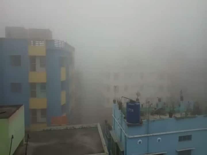 সকালে আলো জ্বালিয়ে গাড়ি চলাচল করছে। বাতাসে আপেক্ষিক আর্দ্রতা বেশি থাকায় ঘন কুয়াশার আস্তরণ। বেলা বাড়লে আংশিক পরিষ্কার হতে পারে আকাশ।