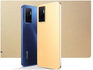 Vivo ने लॉन्च केला 'या' सीरीजचा सर्वात स्वस्त स्मार्टफोन, किंमत किती माहित आहे?