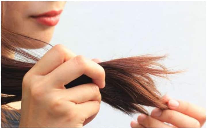 Health Tips, get rid of Split ends Without Cutting And Hair Care Tips,Split Hair Problem दो मुंहे बालों से हैं परेशान? इस तरह बिना काटे दो मुंहे बालों से पाएं छुटकारा