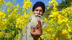 ਪੰਜਾਬ ਵਿਧਾਨ ਸਭਾ ਚੋਣਾਂ 'ਚ ਪਿਛਲੀ ਵਾਰ ਤੋਂ ਘੱਟ ਵੋਟਿੰਗ