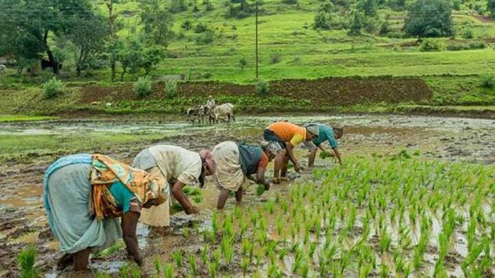 स्कायमेट (Skymet) ही खासगी हवामान संस्था