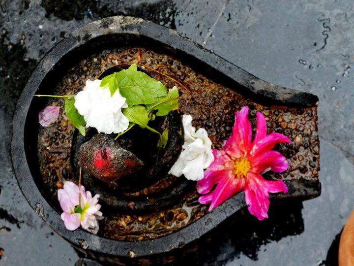 जल- महादेव को प्रसन्न करने का सबसे सरल उपाय शिवलिंग पर जल अर्पित करना है. शिवलिंग पर जल अर्पित करते समय ऊॅं नमः शिवाय का जाप करें. इससे व्यक्ति का चित शांत होता है.