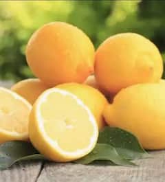 Summer Food : उन्हाळ्यात शरीराला थंड ठेवण्यासाठी 'या' पदार्थांचे सेवन करा, वाचा सविस्तर