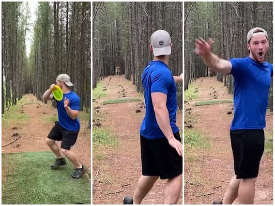 पेड़ों की दो कतारों के बीच कोसों दूर से शख्स ने पहली बार में दागा गोल, 'डिस्क गोल्फ' का ऐसा वीडियो हैरान कर देगा पेड़ों की दो कतारों के बीच कोसों दूर से शख्स ने पहली बार में दागा गोल, 'डिस्क गोल्फ' का ऐसा वीडियो हैरान कर देगा