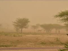 Rajasthan Weather Report: राजस्थान में चलेगी धूल भरी हवा, इन जगहों पर बरसेंगे बादल, जानें- मौसम का ताजा अपडेट