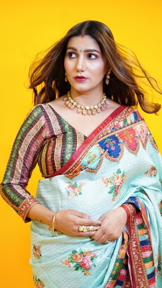 सिंपल साड़ी को सपना ने फलेर ब्लाउज के साथ कैरी किया
