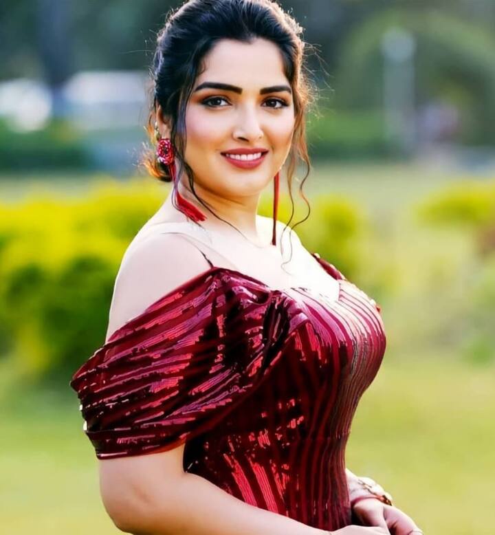 ટીવી સીરિયલ(TV Serial) પલકો કી છાવ મેં (Palko ki Chhav Me) સીરિયલથી પોતાના અભિનયની શરૂઆત કરી હતી. ટીવી પછી આમ્રપાલીએ  ભોજપુરી ઈન્ડસ્ટ્રીમાં  એન્ટ્રી કરી હતી.