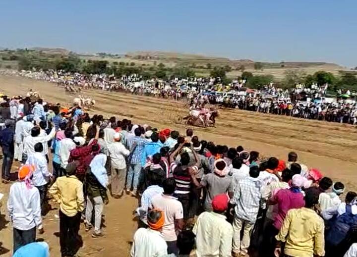 श्री सेवागिरी महाराज यांच्या संजीवन समाधीच्या अमृतमहोत्सवानिमित्त बैलगाडा शर्यतीचे आयोजन