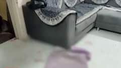 ગીર સોમનાથઃ આ સોસાયટીમાં ઘરમાં એક યુવતી પર અજાણ્યા શખ્સે કર્યો હુમલો