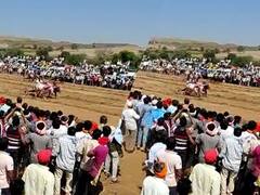 पुसेगावमध्ये बैलगाडा शर्यतीला मोठा प्रतिसाद...