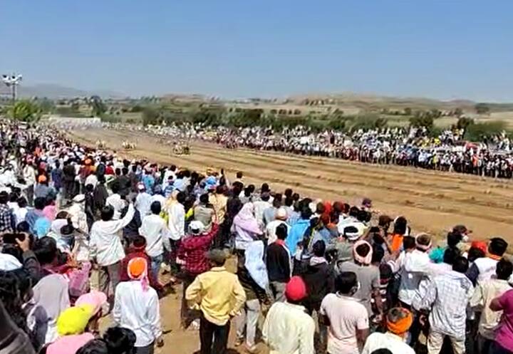 पुसेगावच्या बैलगाडी शर्यती या महाराष्ट्रातील नामांकित शर्यती समजल्या जातात