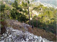 Uttarakahand News : उत्तराखंड के चंपावत में बड़ा हादसा, बारात से लौट रही गाड़ी खाई में गिरी, 11 लोगों की मौत, 2 घायल