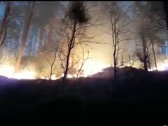 Uttarakand: उत्तराखंड में जंगलों को आग से बचाने के लिए वन विभाग ने कसी कमर, उठाए गए ये बड़े कदम