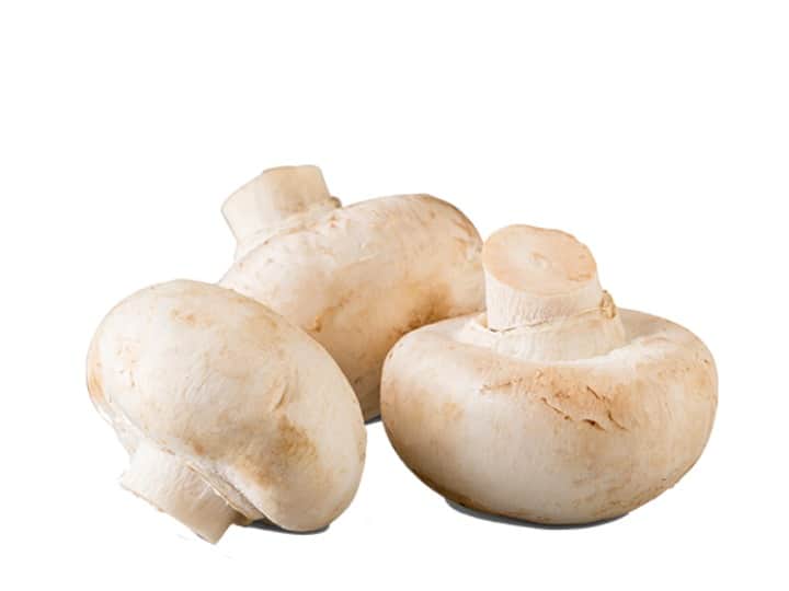 Health Tips, Disadvantages of Eating Mushrooms, Mushrooms Benefits इन स्थितियों में ना खाएं मशरूम, सेहत को हो सकता है नुकसान