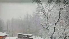 અસ્મિતા વિશેષ: સફેદ આફત