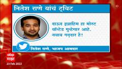 Nitesh Rane : Nawab Malik यांना हिरो बनवणं थांबवा, राष्ट्रीय सुरक्षेचा मुद्दा आहे