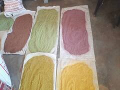 Raipur News: छत्तीसगढ़ में मंदिर से इकट्ठा किए फूलों और गोबर से बन रहा गुलाल, हर तरफ हो रही इसकी चर्चा