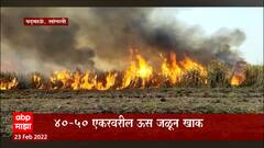 Sangli : मिरज तालुक्यात 40 ते50 एकरावरील ऊस जळून खाक, शॉर्ट सर्किमळे आग लागल्याचा अंदाज