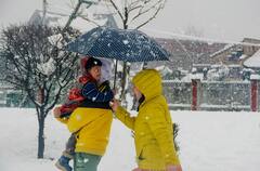IN PICS | Normal Life Disrupted As Kashmir Records Heaviest Snowfall. Air, Road Travel Affected