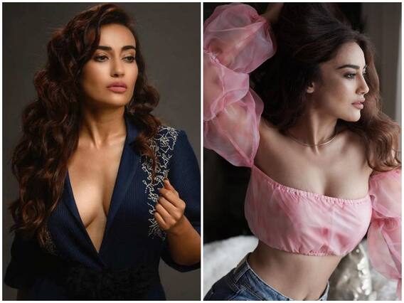 टीवी की इस नागिन ने सिजलिंग लुक से लूटी महफिल, ग्लैमरस अदाएं देख धड़क उठा फैंस का दिल टीवी की इस नागिन ने सिजलिंग लुक से लूटी महफिल, ग्लैमरस अदाएं देख धड़क उठा फैंस का दिल