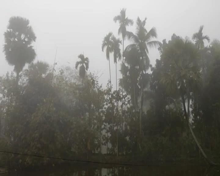 WB Weather Update: rain forecast in several districts of the state WB Weather Update: কুয়াশার চাদরে ঢাকলো শহর, রাজ্যের একাধিক জেলায় বৃষ্টির পূর্বাভাস