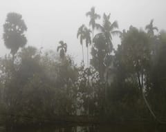 WB Weather Update: কুয়াশার চাদরে ঢাকলো শহর, রাজ্যের একাধিক জেলায় বৃষ্টির পূর্বাভাস