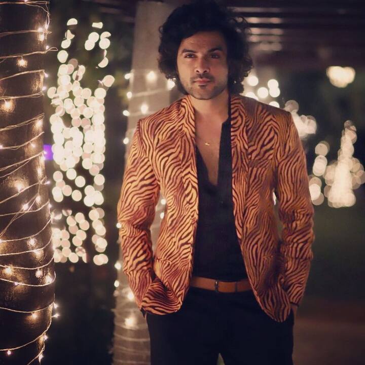 -Image credit: Siddhu Jonnalagadda/Instagram