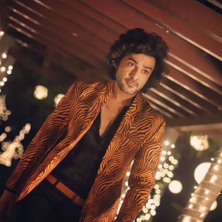 -Image credit: Siddhu Jonnalagadda/Instagram