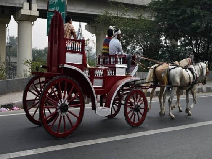 Delhi South Delhi Municipal Corporation mandatory to third party insurance carrying horse cart horse buggy in weddings ANN Delhi News: शादियों में घोड़ा गाड़ी और घोड़ा बग्गी ले जाने के लिए नया आदेश, SDMC ने इस वजह से लिया फैसला