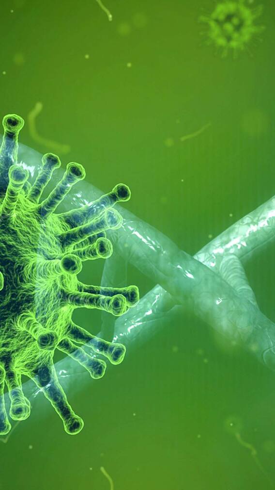 देशात गेल्या 24 तासांत 2528 नवीन कोरोनाबाधित