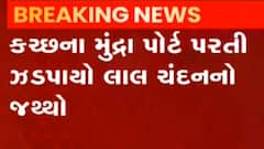 કચ્છઃ મુંદ્રા પોર્ટ પરથી ફરી એકવાર ઝડપાયો લાલ ચંદનનો જથ્થો, જુઓ ગુજરાતી ન્યૂઝ
