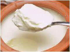 मिट्टी के बर्तन में जमा दही खाने से सेहत को मिलते हैं कई फायदे, जानें