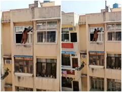 चौथी मंजिल की रेलिंग पर खड़े होकर महिला ने साफ किए शीशे, होश उड़ा देगा वीडियो