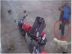 कुत्ते को लात मारने की कोशिश कर रहा था शख्स, एक सेकेंड में मिल गया कर्म का फल