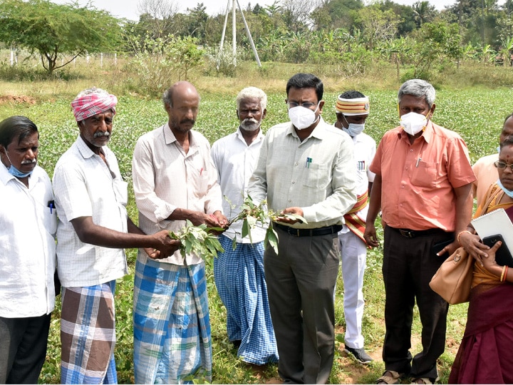 தஞ்சாவூரில் நடைபெறும் வளர்ச்சி திட்ட பணிகள் குறித்து மாவட்ட ஆட்சியர் ஆய்வு