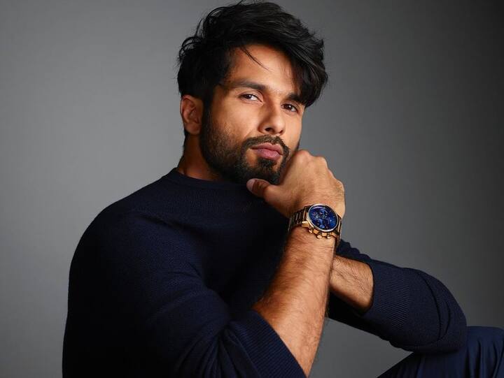 ২০০৯ সালে বিশাল ভরদ্বাজের 'কমিনে' ছবিতে কাজ করেন।